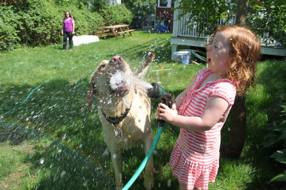 ... funny pictures of cute kids hanging out with animals, kids and animals