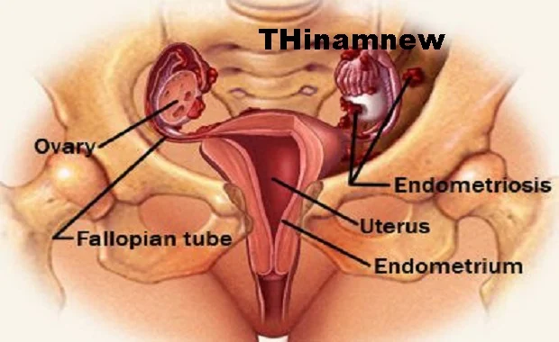 சத்திர சிகிச்சையின் (Surgery) பங்களிப்பு