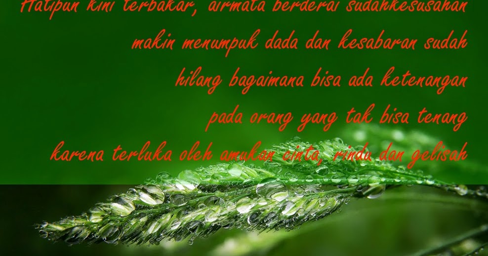 Murtakibudz Dzunub Kata Mutiara Cinta Ala Santri Murtakibudz Dzunub Kata Mutiara Cinta Ala Santri