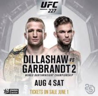 UFC Dillashaw x Garbrandt ao vivo online grátis no Combate