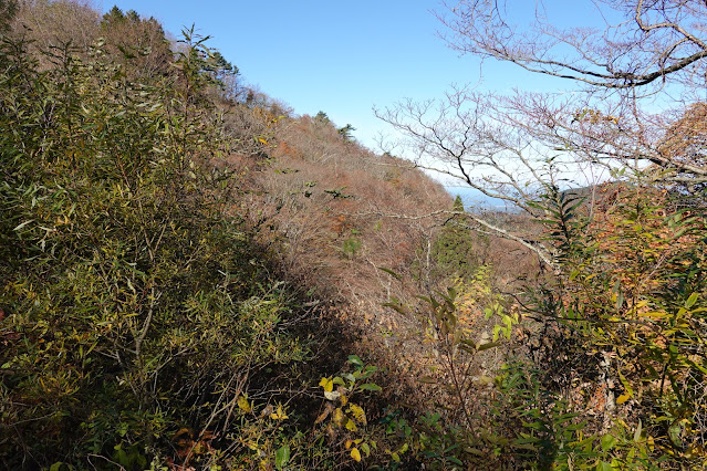 鳥取県西伯郡大山町大山 大山環状道路からの眺望