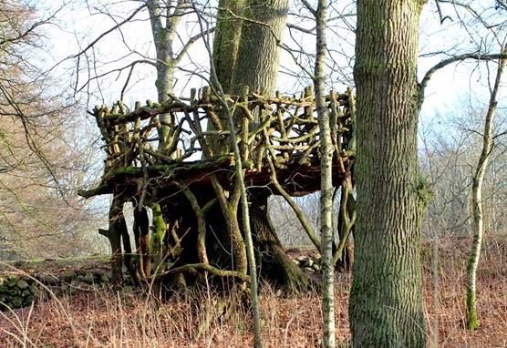 Christinehof i sol 081