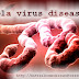 Treatment of Ebola virus disease, Risk factors for Ebola 