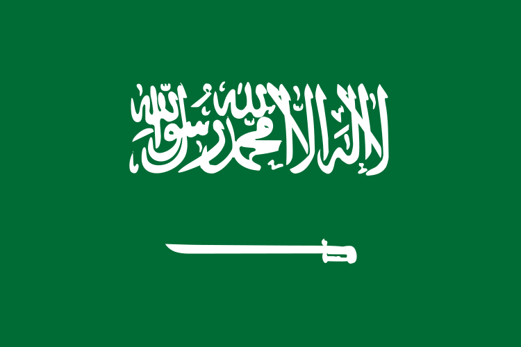 This is Saudi Arabia's flag.