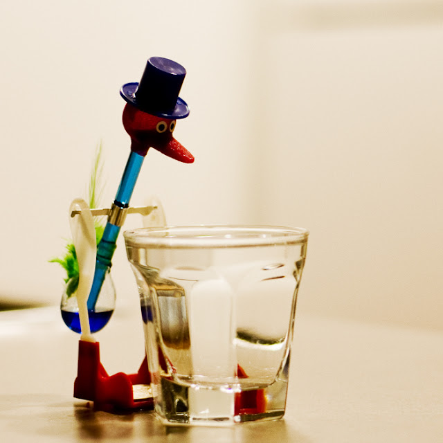 Amazing Drinking Bird