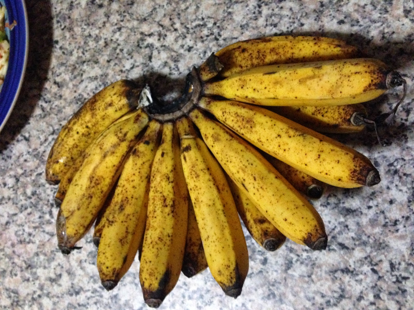 Suria Helang Lui Bananas Berangan or Emas