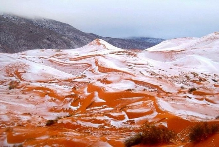 Fenomena Aneh dan Langka, Salju di Gurun Sahara