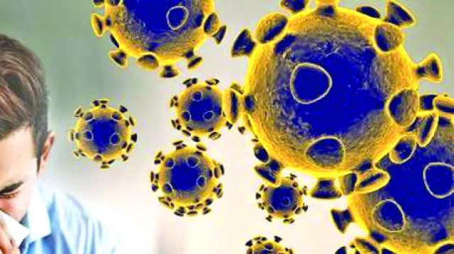 Marburg-virus