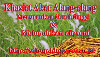 Pengobatan herbal alami untuk menurunkan darah tinggi dan meluruhkan air seni