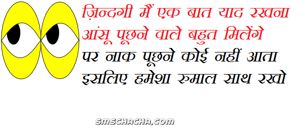 Funny Good Afternoon SMS In Hindi