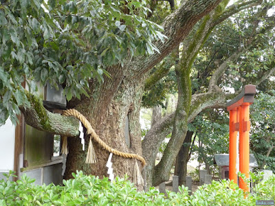 うつぼ楠永神社