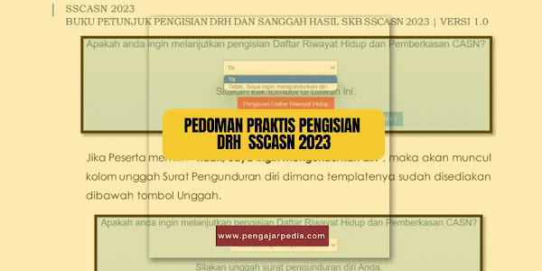 Pedoman Praktis Pengisian Daftar Riwayat Hidup SSCASN 2023