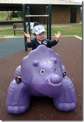 dino riding