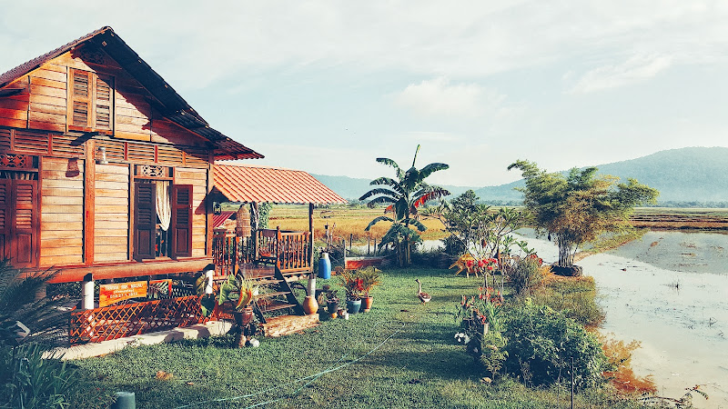 Nasi Dagang Pak Malau, Langkawi