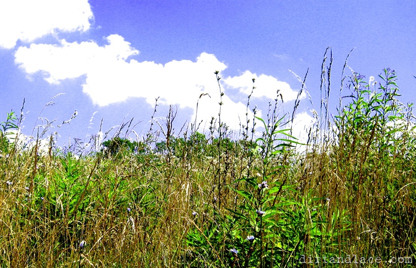 IMG_8359edit