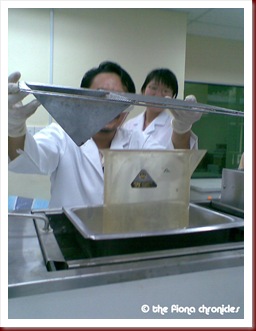 mice2