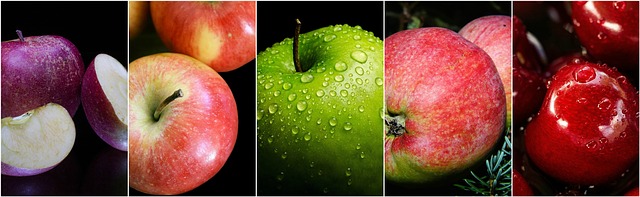 Lose weight fast diet
