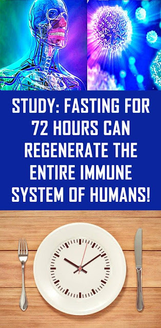 Fasting For 12 Hours Can Regenerate The Entire Body And Help You Lose Weight
