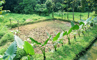 Tempat Wisata Depok  Murah Yang Cocok Bagi Keluarga 