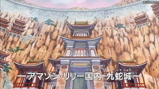 ワンピースアニメ 頂上戦争編 491話 九蛇城 | ONE PIECE Episode 491