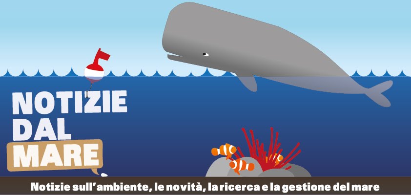 notizie dal mare