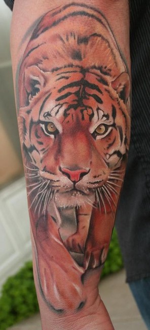 Tiger Tattoo Design at 300 AM Email This BlogThis tiger tatto