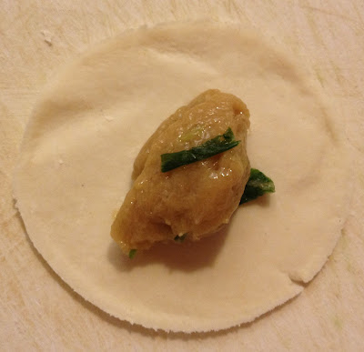 constructing the gyoza