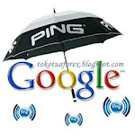 Google Ping