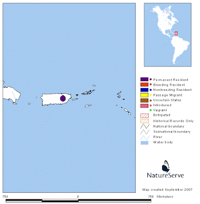 Amazona vittata map