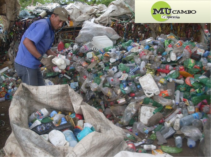 Reciclagem gera emprego e renda na Cidade de Mucambo.