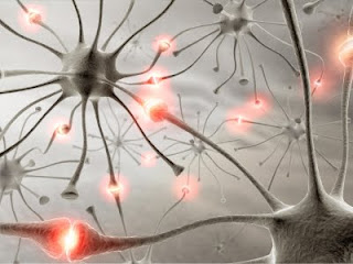 picture of neurons firing