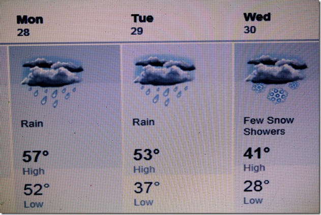 Weather