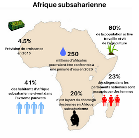 Contexte et informations Afrique sub-saharienne