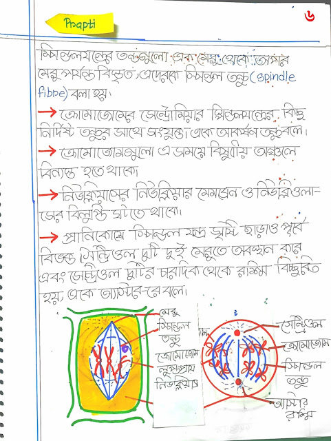 SSC Biology Chapter 3 Hand Note