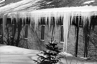 roofs caused by cold-climate ice dam leaks