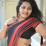 Sitara Hot Photos in Saree at Gundello Guchi Guchi Champake Movie Press Meet 100 