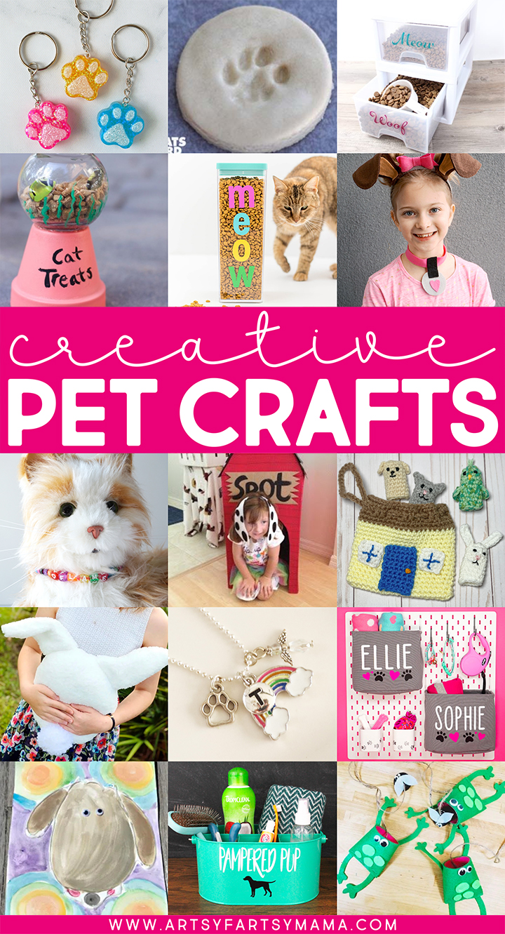 Creative Pet and Animal Crafts