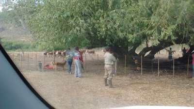 Resultado de imagen para Litigio de tierras en Arroyo Las Minas