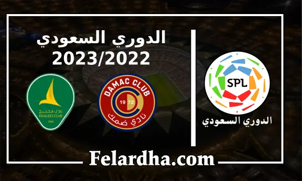 مشاهدة مباراة ضمك والخليج بث مباشر بتاريخ 02/09/2022 الدوري السعودي