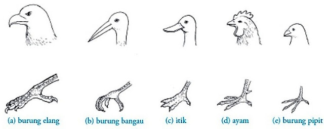 ILMU PENGETAHUAN UMUM