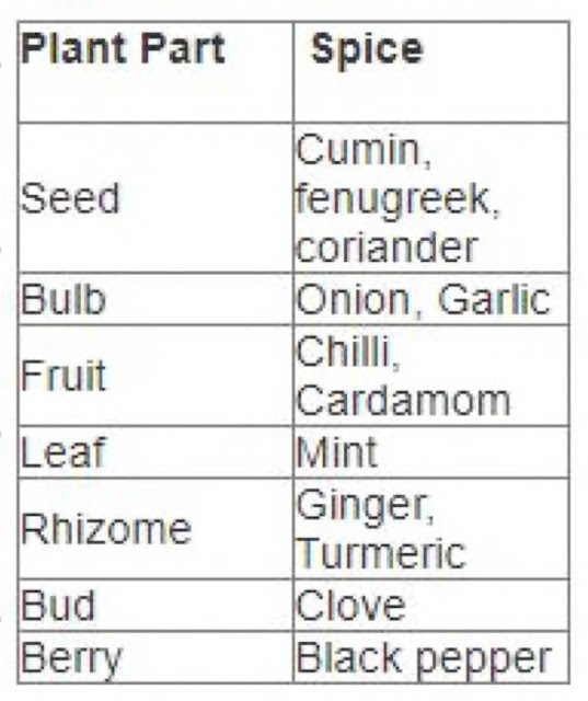 Plant Part and Spice Name