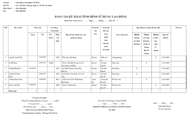 Báo cáo tình hình sử dụng lao động