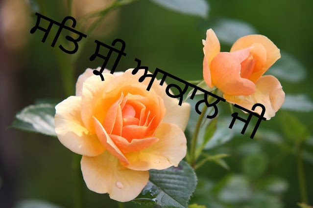 Sat Shri Akaal Ji