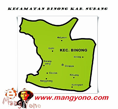 Kecamatan Binong, Kabupaten Subang