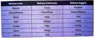 Ciri dan Kelompok Hewan  Bertulang  Belakang  dan Tidak  