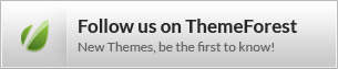 Follow ShapingRain on Themeforest