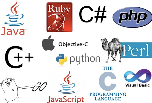 The 4 best web development languages for your next project