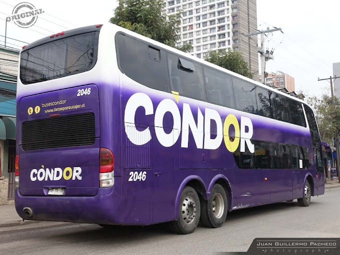 » Condor Bus | N° 2046