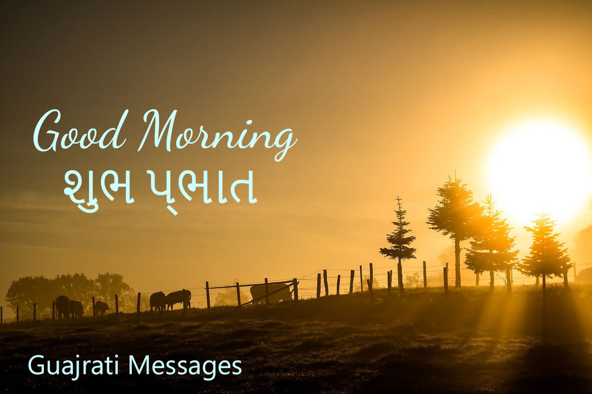 Get Here Good Morning Sms Gujarati Awesome Greeting Hd Images