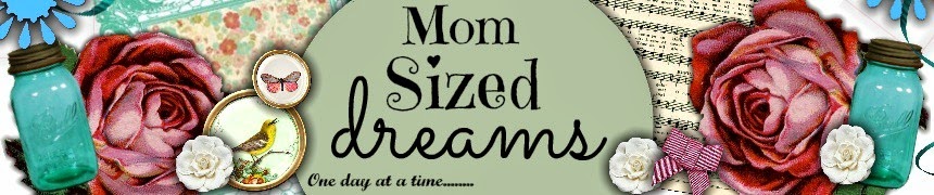                    Mom Sized Dreams